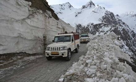 Srinagar-Kargil highway reopens for traffic