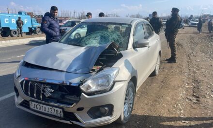 Elderly man killed after being hit by vehicle in Qazigund