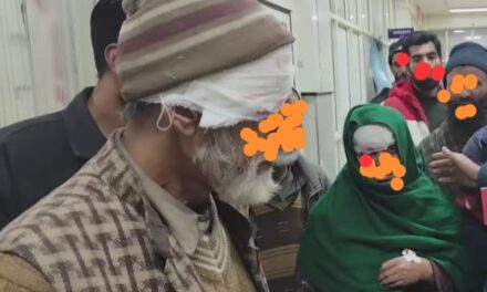 Seven persons injured after attacked by stray dogs in Kupwara