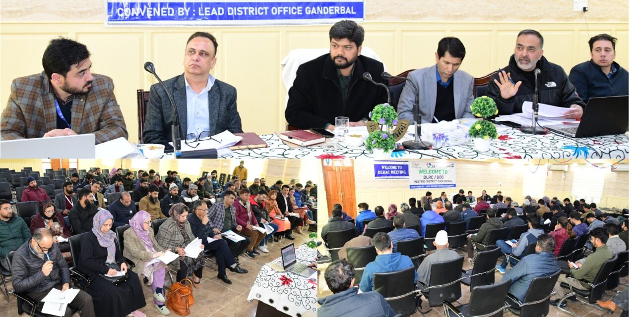 DDC Ganderbal chairs DCC & DLRC meeting ;111% annual credit plan disbursement achieved for 3rd quarter