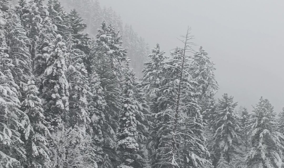 Amid forecast for wet spell,p night temp rises above normal across J&K