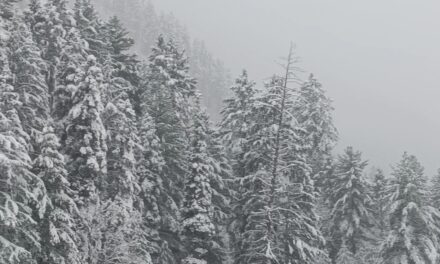 Higher reaches receive fresh snowfall, rains lash plains in J&K