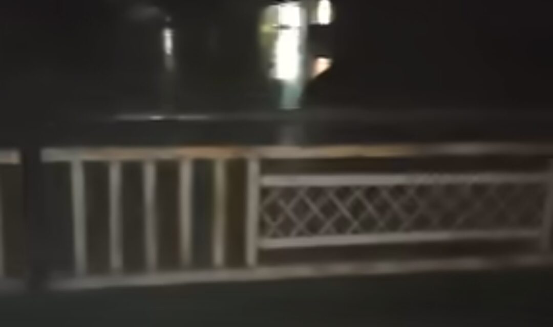 Man jumps into river Jhelum near Zaina Kadal