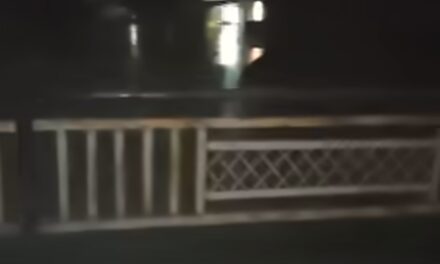 Man jumps into river Jhelum near Zaina Kadal