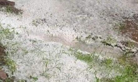 Heavy Hailstorm Ravages Multiple Villages in Shopian, Puts Apple Production On Stake