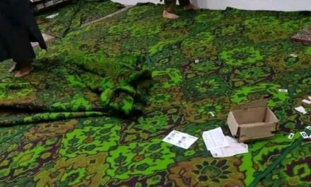 Miscreants Attempt To Desecrate Shrine, Mosque in Dadsara Tral; Case Registered: Police