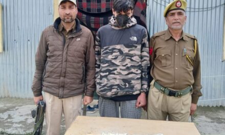 Police solves theft case in Budgam, accused arrested