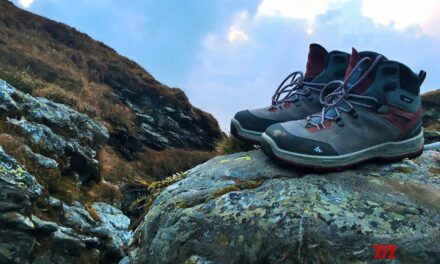 Police avert possible tragedy, rescue two trekkers in Srinagar’s Zabarwan Hills