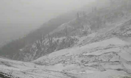 Gurez higher reaches receive fresh snowfall