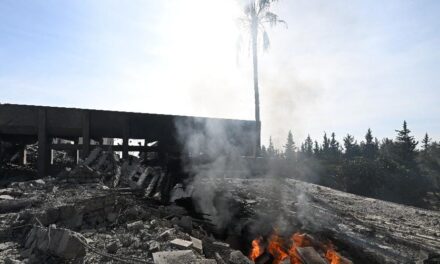 Syria defence ministry research centre, navy ships destroyed after strikes