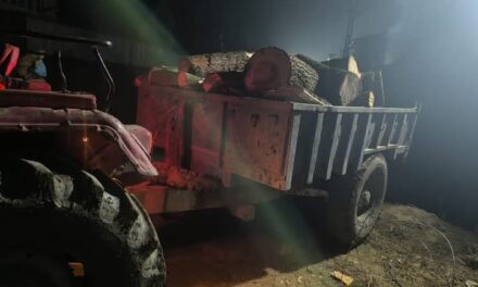 Police Recovers Illicit Timber in Sopore, Case Registered