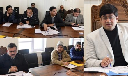 DC Ganderbal reviews progress of PM Surya Ghar Muft Bijli Yojana