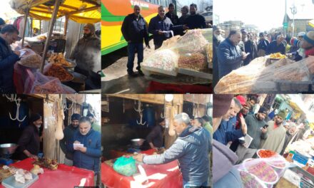 Food Safety Department Cracks Down on Roadside Eateries in Kangan