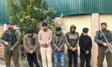 Five persons arrested for causing public disturbance in Srinagar: Police