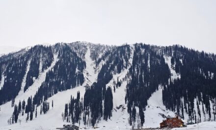 Snowfall In Higher Reaches Of Kashmir, Rain In Plains