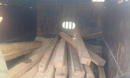 Police recovers illicit timber in Sopore, Case registered