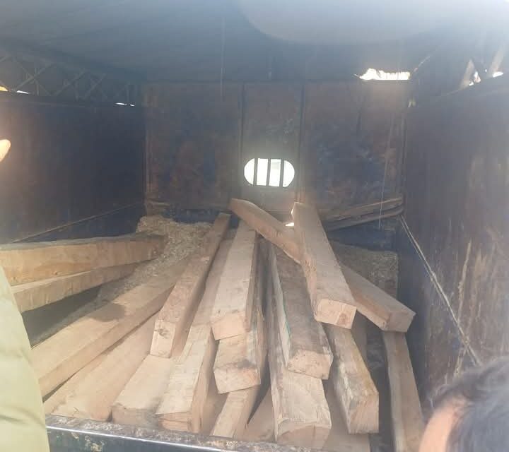 Police recovers illicit timber in Sopore, Case registered