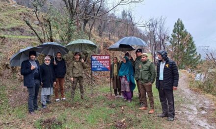 Properties of 5 PoK-based Hizbul terrorists seized in J&K’s Ramban