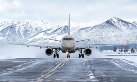 Flight Operations Resume At Srinagar Airport After Morning Delays, Highway Remains Shut