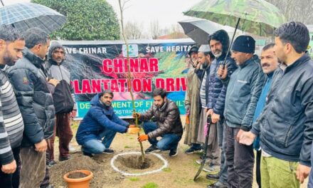 J&K Department of Floriculture Commemorates Chinar Day with Plantation Drive & Heritage Walk at Qamriya Park, Ganderbal