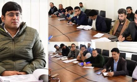 DC Ganderbal reviews progress of Ring Road Project Phase IIA