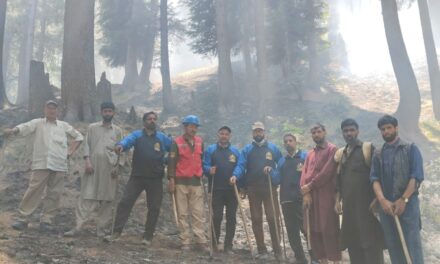 Forest Officials Successfully Douse Forest Fire in Kangan’s Akhal Forest Range