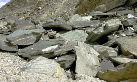 Shooting stone from a hillock hits cab in J-K’s Ramban, driver killed