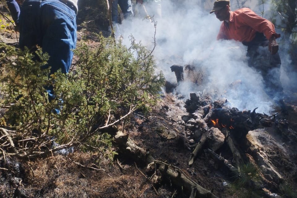 90% of Sonamarg Forest Fire Doused, Multi-Department Effort Lauded