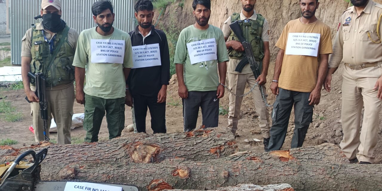 Ganderbal Police Seizes Illicit Timber In Upper Reaches Of Gutlibagh, 04 Accused Persons Arrested