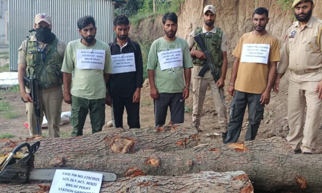 Ganderbal Police Seizes Illicit Timber In Upper Reaches Of Gutlibagh, 04 Accused Persons Arrested