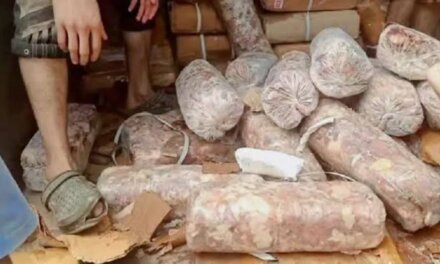 Crackdown Against Rotten Meat, Sweets