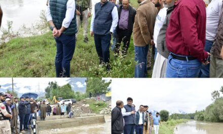 Inclement Weather: DC Ganderbal visits low-lying areas along Sindh Nallah;Asses ground situation & reviews preparedness measures