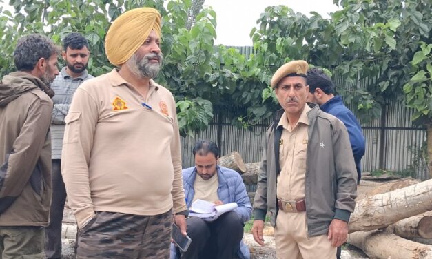 Handwara timber smuggling busted; 2 forest officials face suspension over negligence