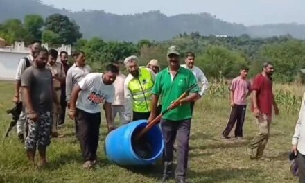 Giant python captured in J-K’s Rajouri