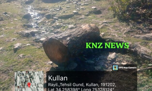 DFO Iqbal Rasool-IFS Leads Swift Action: Forest & Police Teams Seize 34 CFT Illegal Fir Timber in Sindh Range, Ganderbal