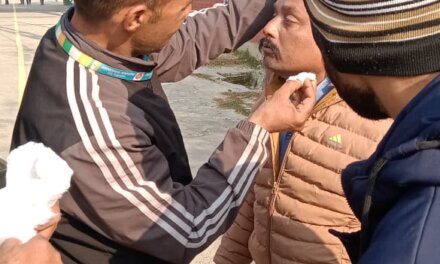 Train Service Halted After Eagle Collision in South Kashmir, Pilot Safe