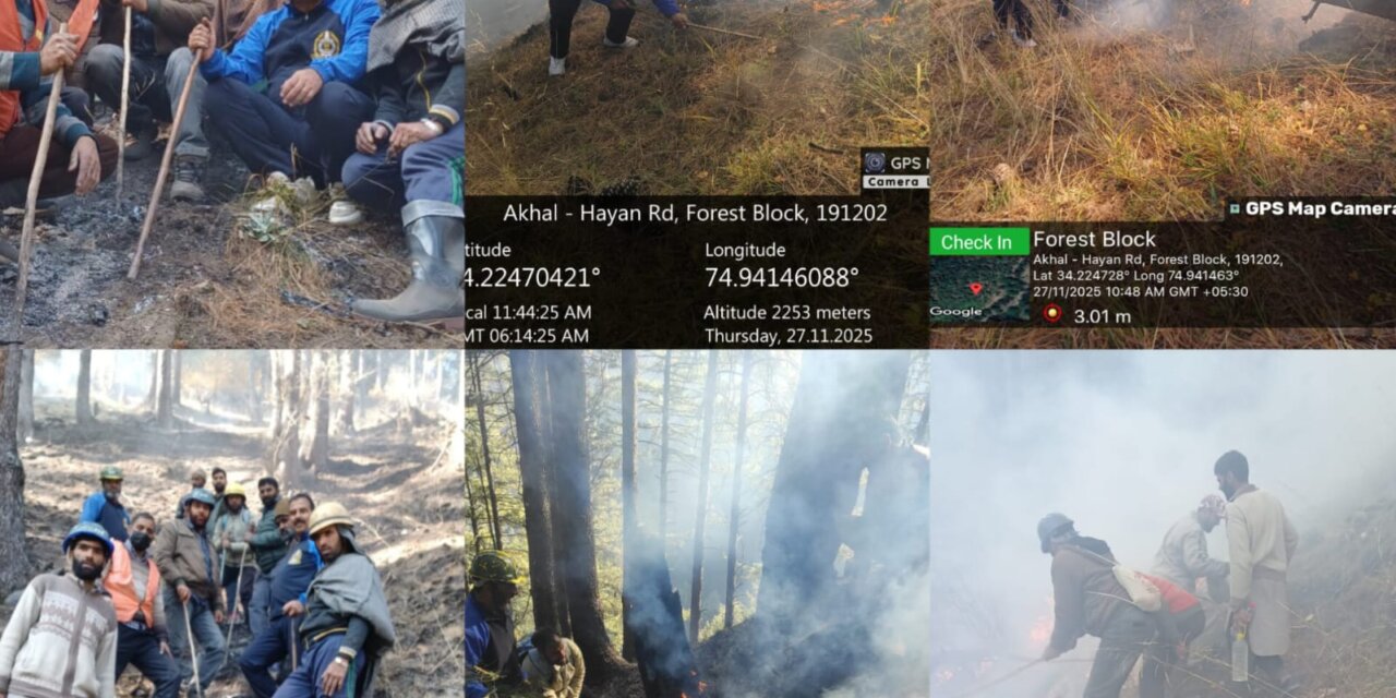 Forest Protection Force and Territorial Staff Successfully Extinguish Forest Fire in Akhal