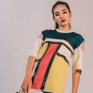 Stylish Women Dress 2