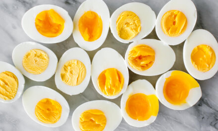 Egg samples in Srinagar found safe, meet food safety standards: Officials