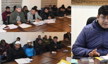 DC Ganderbal chairs monthly Revenue meeting, takes stock of progress in key revenue matters