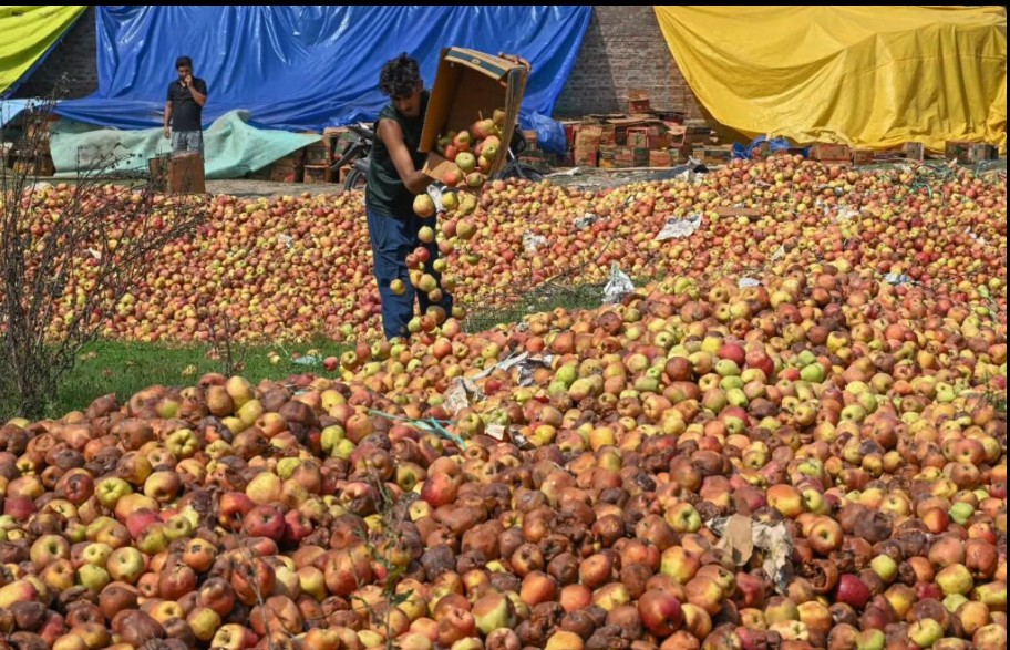 Apples Rotted on Wheels