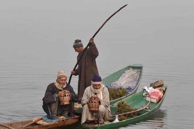 Light snowfall likely in higher reaches of Kashmir from Dec 13 to 17: MeT