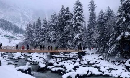 Snowfall, restored confidence bring tourists back to Kashmir: Director Tourism