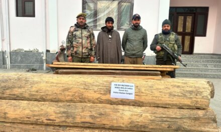Ganderbal Police crack down on illegal timber smuggling; huge quantity of forest timber seized in Poshkar Kangan.