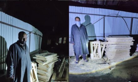 Baramulla Police Foil Timber Smuggling Bid in Kunzer, Accused Arrested